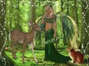 Forest Friends - Shonna