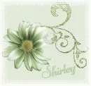 Shirley