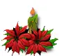 Christmas candle