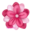 GG Pink Flower