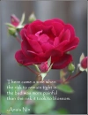blossom