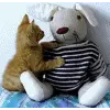kitty kiss