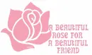 a beautiful rose for a beautiful friend