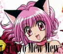 Tokyo mew mew