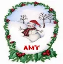 amy snowman