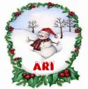 ari snowman