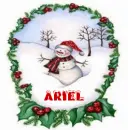 ariel snowman