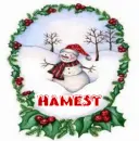 hamest snowman