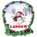 ladawn snowman