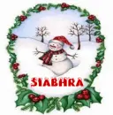 siabhra snowman