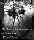 The flame of love is now just a cold loneliness.