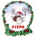 steph snowman
