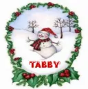 tabby snowman