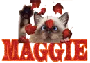 Maggie