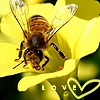 bee and flowers