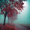 The Red Tree