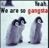gangsta