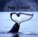 Hey friend!