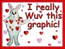WUV YOUR GRAPHIC
