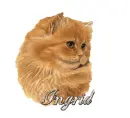 INGRID