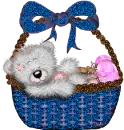 BLUE TEDDY