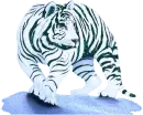 BIG CATS