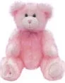 hopeful wishes teddy