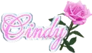 Cindy Pink Rose
