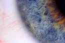 Enchanted eye 