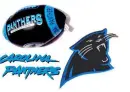 carolina panthers