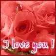 i love you w/ rose
