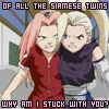 Ino and Sakura