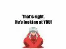 Inuyasha looking