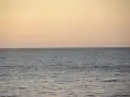 sea07