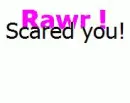 Rawr
