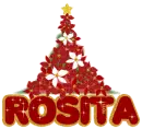 Poinsetias Tree Rosita