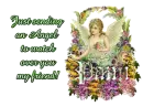 Garden Angel_pami