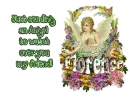 Garden Angel_florence