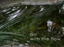 gowiththeflow