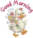 Good Morning!
