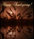 Happy Thanksgiving