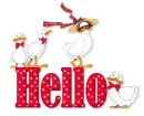 hello