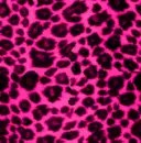 Leopard hawt piNk!!