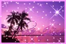 I love Jesse-palm trees