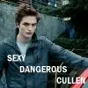 Edward Cullen
