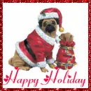 happy holiday