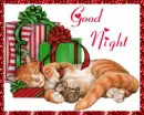 good night
