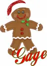 Gage-gingerbread man