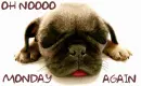 PUG