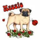 Maggie~Dog